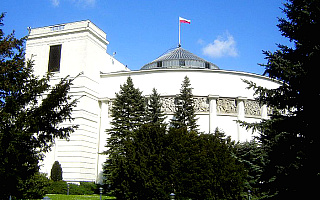 Po awanturze Sejm przyjął konwencję antyprzemocową